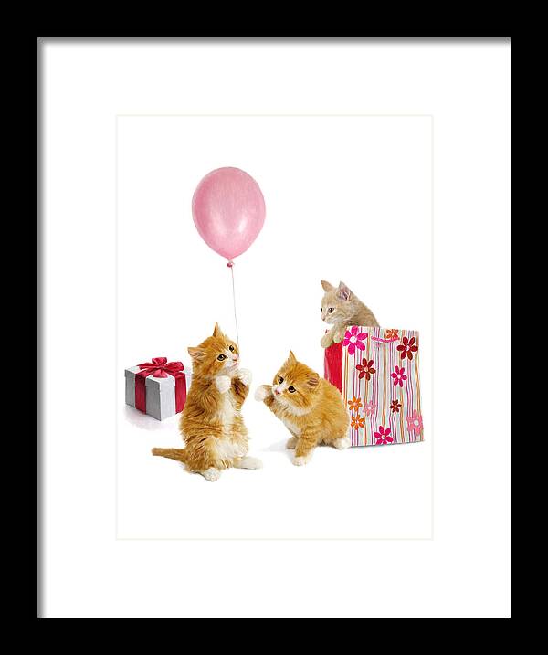 Balloon Framed Print featuring the digital art Birthday Kitties by Bob Nolin