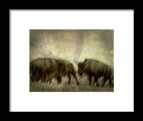 Bison Framed Print featuring the photograph Bison 3 by Joye Ardyn Durham