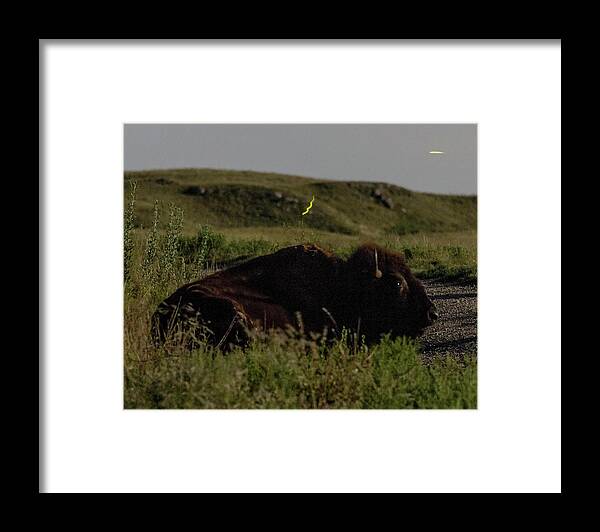 Kansas Framed Print featuring the photograph Bison by moonlight 03 by Rob Graham