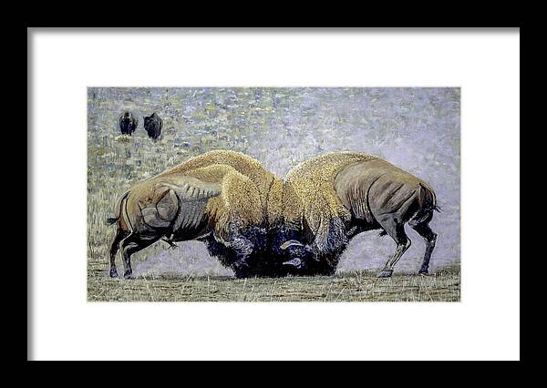 Buffalo Framed Print featuring the painting Bison Fight Original Oil Painting 60x36x1.5 inch by Manuel Lopez