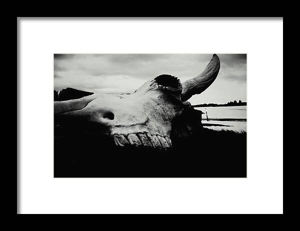 Bison Framed Print featuring the photograph Bison Skull Black White by 'REA' Gallery