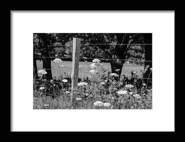 Black And White Framed Print featuring the photograph Black and White 28 by Jimmy McDonald