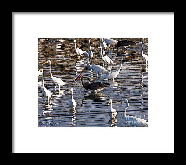 Outdoors Framed Print featuring the photograph Black And White by Arik Baltinester