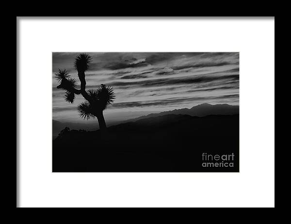Black And White Framed Print featuring the photograph Black And White Joshua Tree Sunset by Adam Jewell