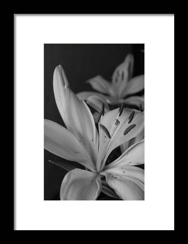 Flower Framed Print featuring the photograph Black and White Lilies 2 by Amy Fose