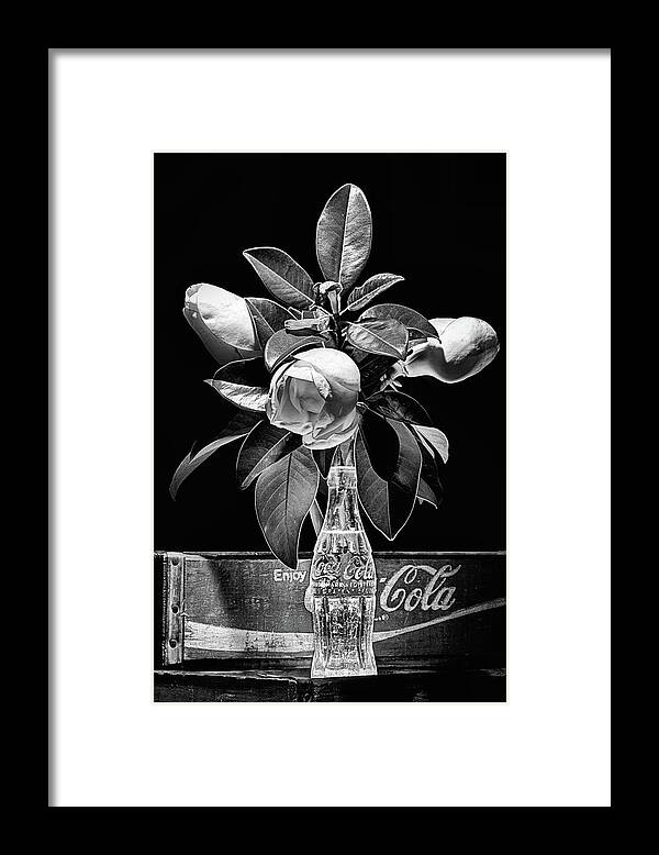 Coke Framed Print featuring the photograph Black and White Magnolia and Coke Still Life by JC Findley