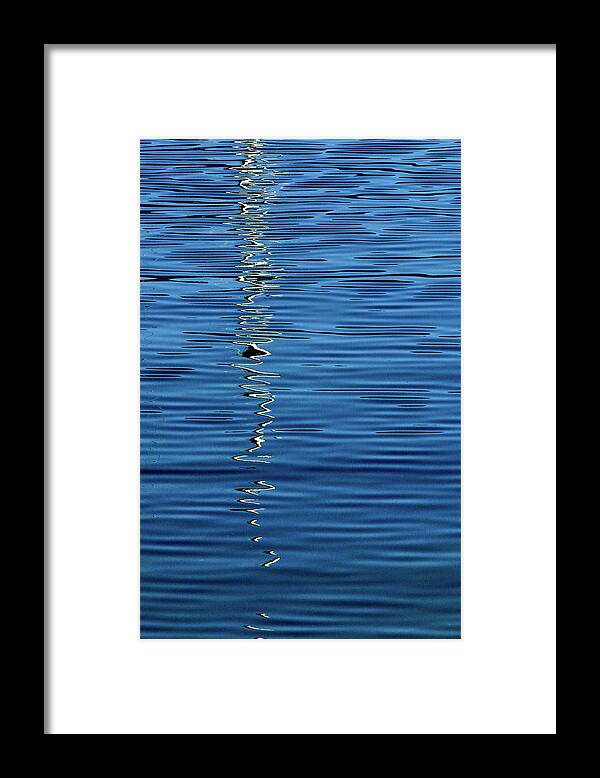 Black Framed Print featuring the photograph Black and White on Blue by Tom Vaughan