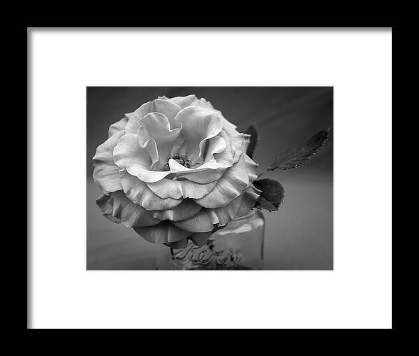 Rose Framed Print featuring the photograph Black and White Rose Antique Mason Jar by Kathy Anselmo