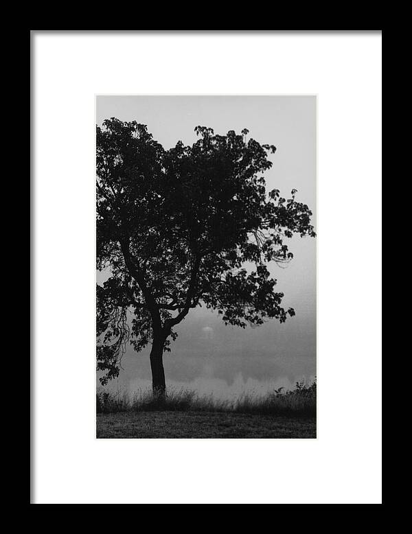 Black Framed Print featuring the painting Black Elm by Arnold Isbister