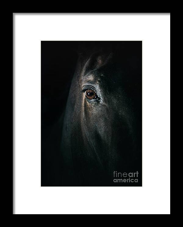 Horse Framed Print featuring the photograph Black horse eye Beautiful close up by Dimitar Hristov