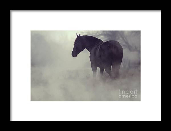 Horse Framed Print featuring the photograph Black horse in the dark mist by Dimitar Hristov