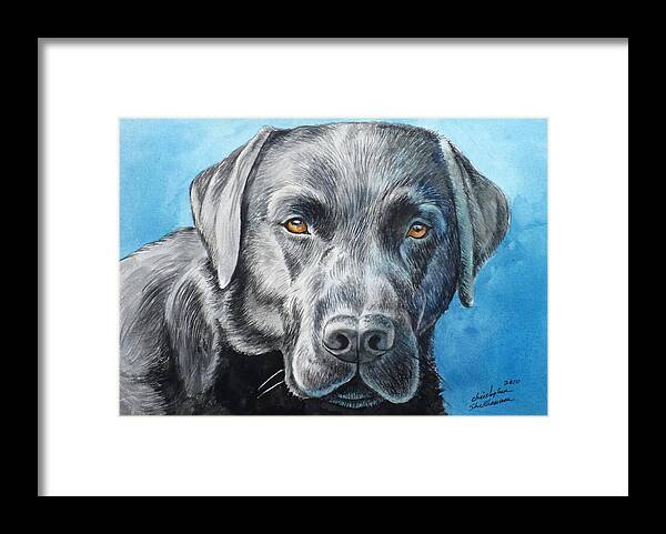 Dog Framed Print featuring the painting Black Lab by Christopher Shellhammer