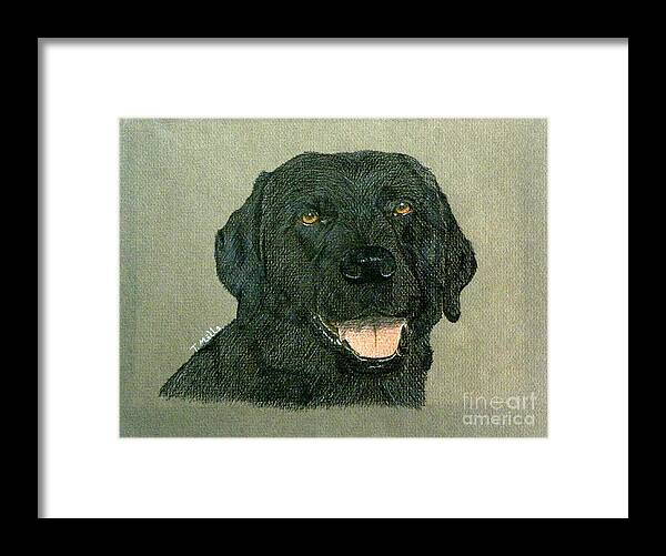 Dog Framed Print featuring the drawing Black Labrador Retriever by Terri Mills