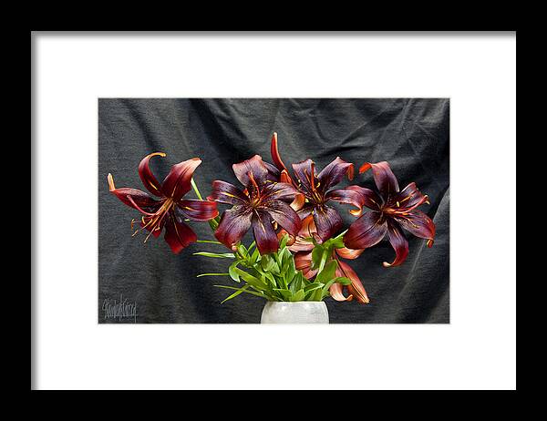 Flowers Framed Print featuring the photograph Black Lilies by Stan Kwong