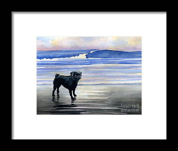 Black Framed Print featuring the painting Black Pug At The Beach by David Rogers