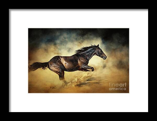Horse Framed Print featuring the photograph Black Stallion horse Galloping like a devil by Dimitar Hristov