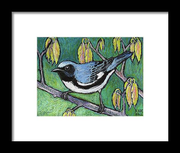 Warbler Framed Print featuring the painting Black Throated Blue Warbler by Ande Hall