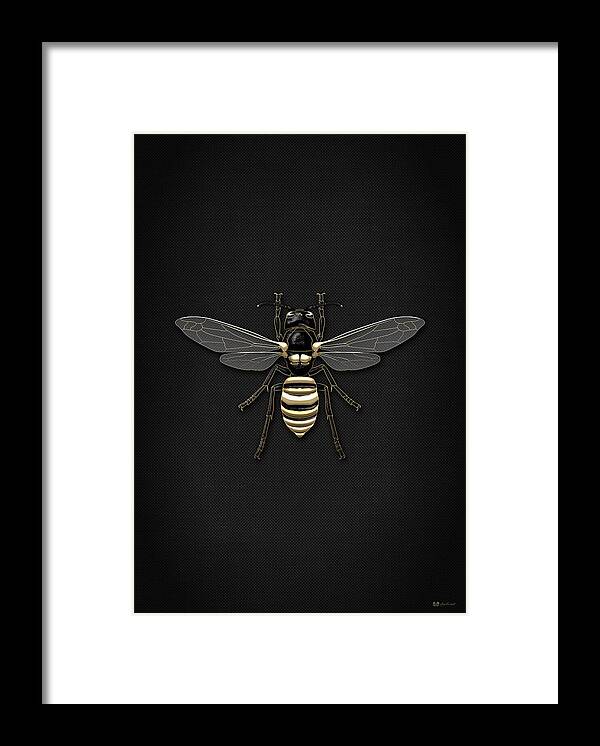 Beasts Creatures And Critters By Serge Averbukh Framed Print featuring the photograph Black Wasp with Gold Accents on Black by Serge Averbukh