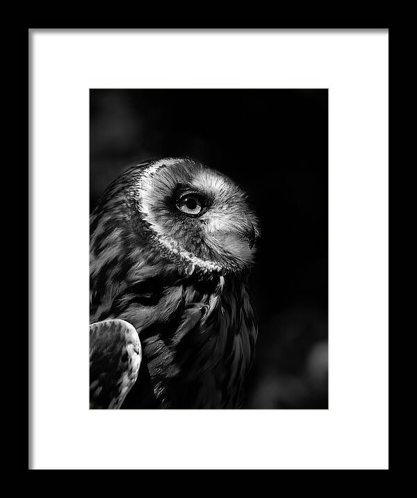 Black And White Photogrpahy- Fine Art Photography - #raeannmgarrett #owls - Owls - #forowllovers- Short Eared Owl- Owls- Images Of Rae Ann M. Garrett Framed Print featuring the photograph Blessing by Rae Ann M Garrett