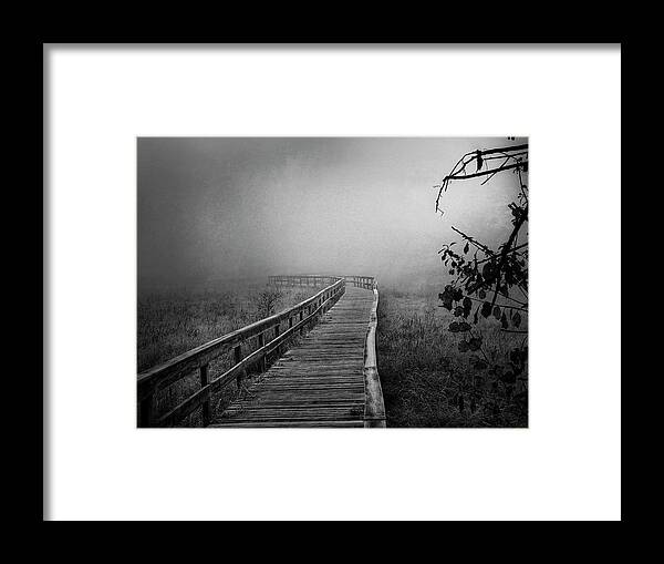Path Framed Print featuring the photograph Blind Faith by Jill Love