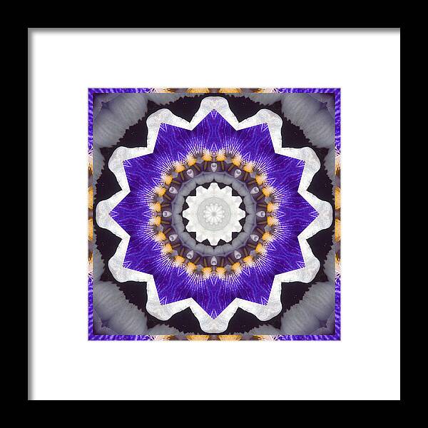 Mandalas Framed Print featuring the photograph Bliss by Bell And Todd
