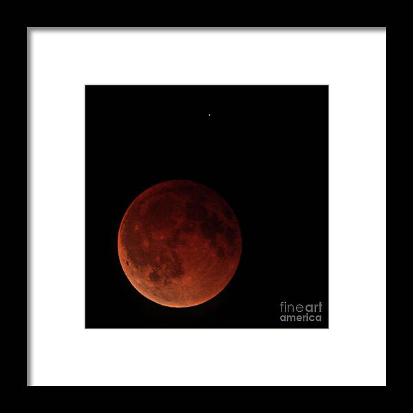 Eclipse Framed Print featuring the photograph Blood Moon Eclipse by Mark Jackson