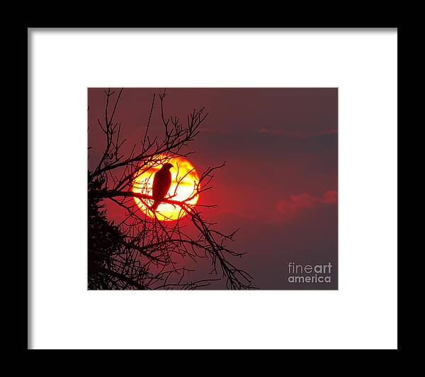 Sunsets/sunrises Framed Print featuring the photograph Blood Red by Jim Garrison