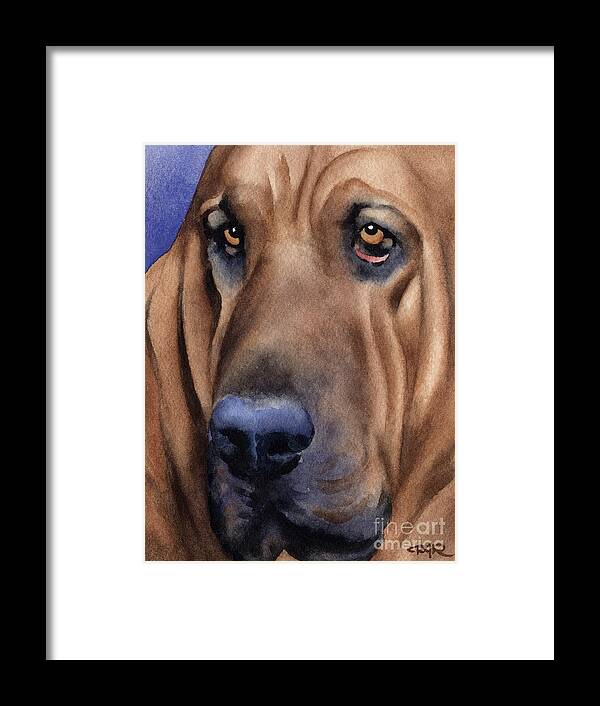 Bloodhound Framed Print featuring the painting Bloodhound by David Rogers