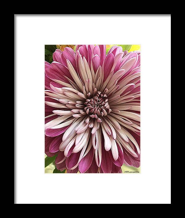Bloom Framed Print featuring the photograph Bloom of Pink by Marian Lonzetta