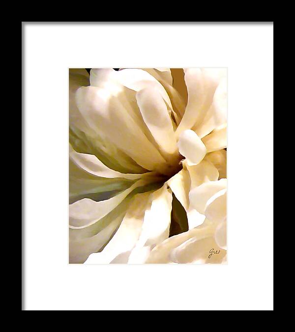 Soft Light Petals Framed Print featuring the photograph Blooming by Roy Owens