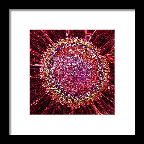 Abstract Framed Print featuring the digital art Blooming Circle by Leslie Montgomery