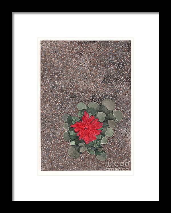 Succulent Framed Print featuring the painting Blooming Succulent by Hilda Wagner