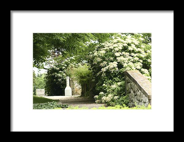 This Image Gives Me A Sense Of Peace In It's Simplicity Framed Print featuring the photograph Blossoms at Harkness by B Rossitto