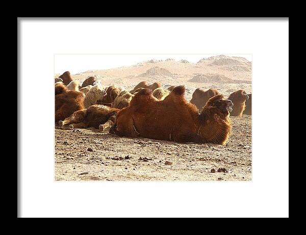 Gobi Desert Framed Print featuring the photograph Blowin' in the Wind by Diane Height