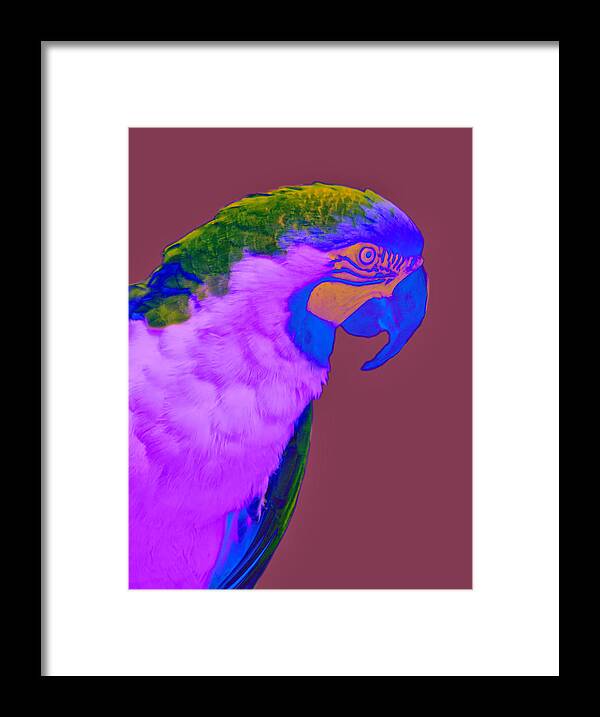 Bird Framed Print featuring the photograph Blue and Gold Macaw Sabattier by Bill Barber