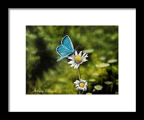 Blue Framed Print featuring the painting Blue by Anthony J Padgett