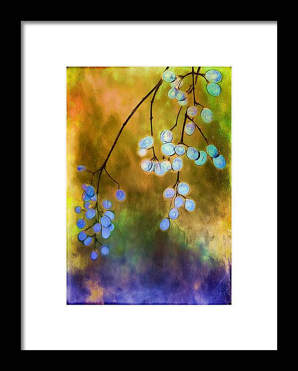 Berries Framed Print featuring the photograph Blue Autumn Berries by Judi Bagwell