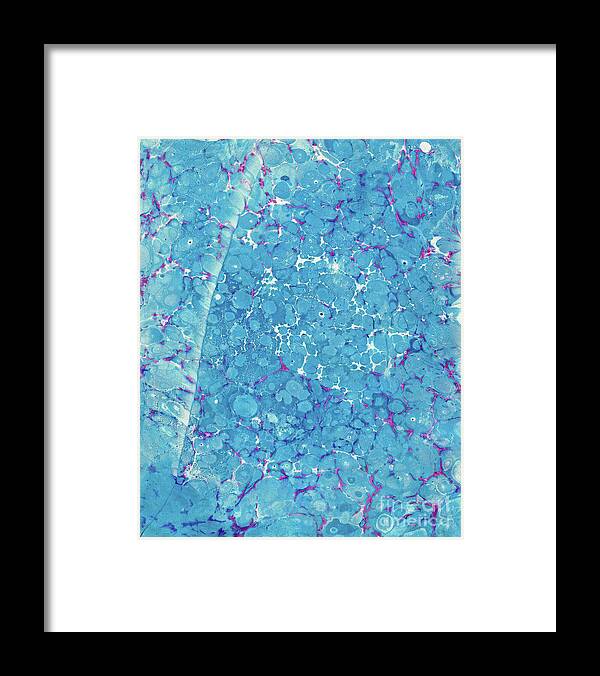 Water Marbling Framed Print featuring the painting Blue Battal #7 by Daniela Easter