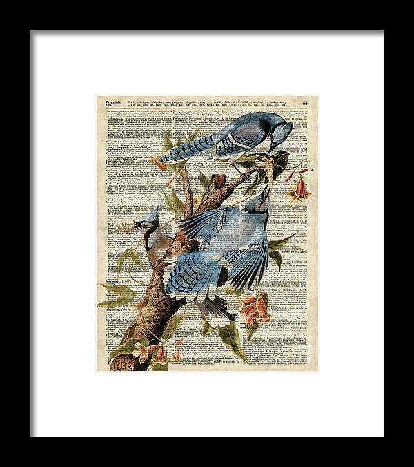 Blue Birds Framed Print featuring the digital art Blue Birds Vintage Illustration Dictionary Art by Anna W