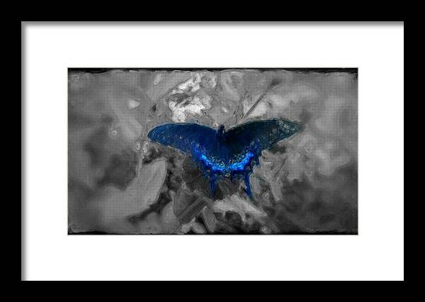 Delicate Framed Print featuring the digital art Blue butterfly in charcoal and vibrant aqua paint by MendyZ