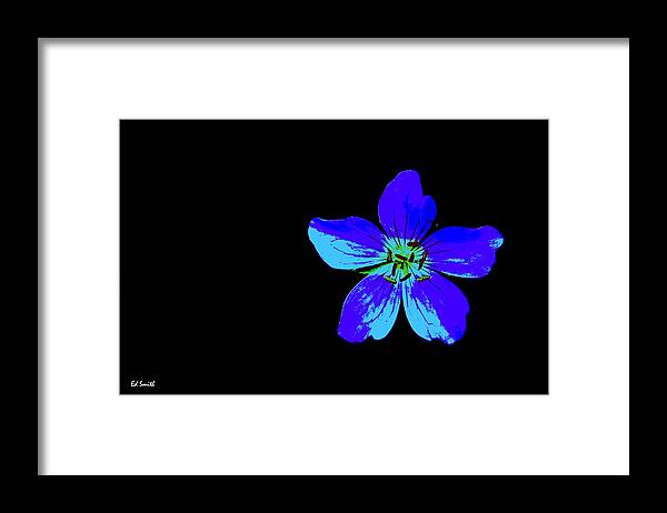 Blue By You Framed Print featuring the photograph Blue By You by Edward Smith