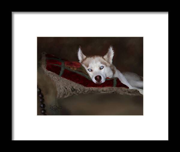 Dog Framed Print featuring the painting Blue Eyes by Colleen Taylor