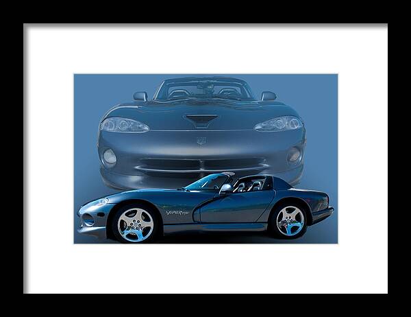 Viper Framed Print featuring the photograph Blue Grey Viper by Jim Hatch