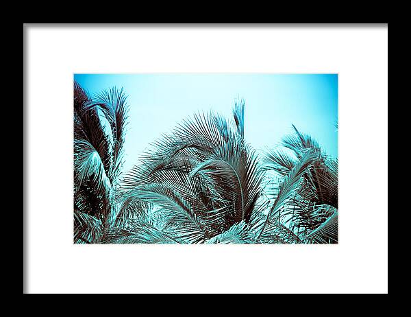 Palm Trees Framed Print featuring the photograph Blue Hawaii by Colleen Kammerer