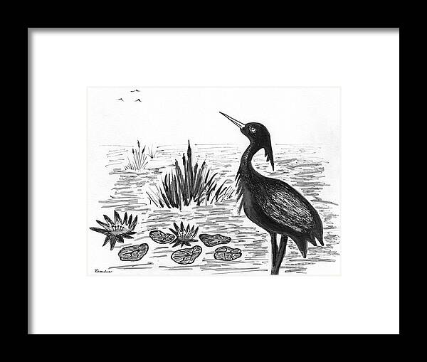 Blue Heron Framed Print featuring the drawing Crowned Night Heron Lily Pond Paradise in Ink D1 by Ricardos Creations