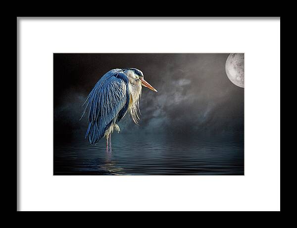 Great Blue Heron Framed Print featuring the photograph Blue Heron Moon by Brian Tarr