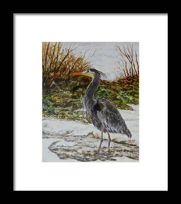 Watercolour Painting Framed Print featuring the painting Blue Heron by Sher Nasser