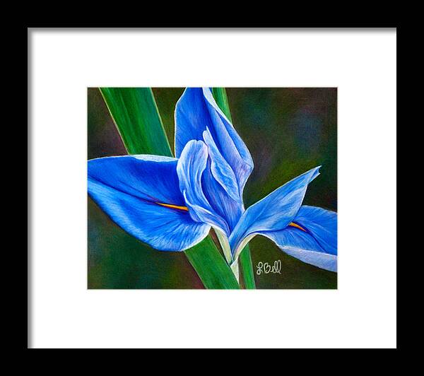 Iris Framed Print featuring the painting Blue Iris by Laura Bell