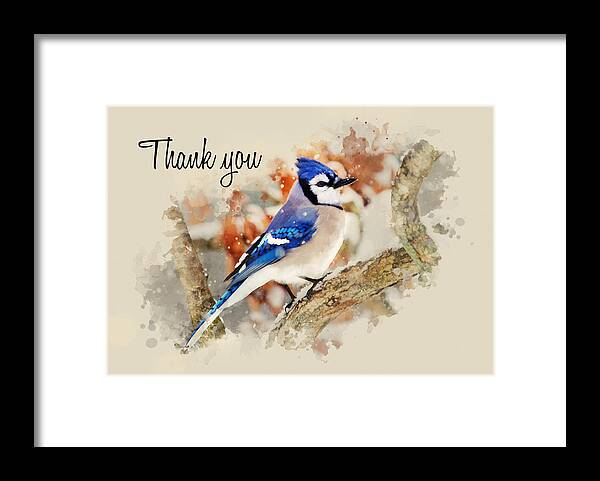 Thank You Framed Print featuring the mixed media Blue Jay Watercolor Thank You Card by Christina Rollo