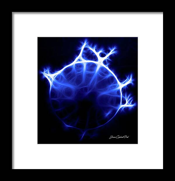 Blue Framed Print featuring the photograph Blue Jelly Fish by Joann Copeland-Paul